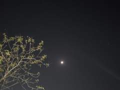 부드럽고 달콤한