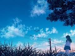 半透明 ( 반투명 ) / 獅子志司