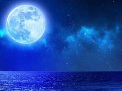 #축의커 프로필