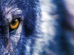 [이련커 2기 프로필]