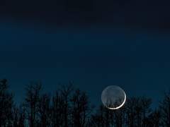 Auseklis.S.Libertas/14/XX