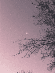 별이 보이지 않는 그 자리에서