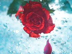 Friedrich 프리드리히