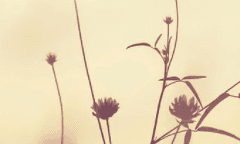 네가 원하는게 그것이라면.