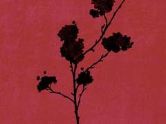 수풀 위의 전서.