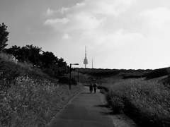 멤버십이 생겼습니다