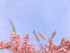 끝, 그리고 시작