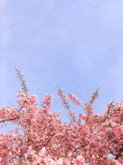 겨울의 끝, 봄의 시작