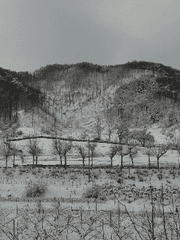 적연지사適然之史