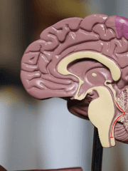 사랑에 대한 세 가지 시선