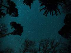 Fly me to the end of the world 16