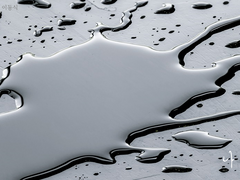 [주원동식] 나이테 04