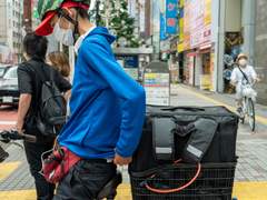 7월 31일 사진(2)