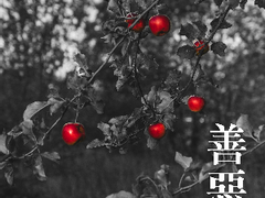 [JV] 善惡果 中下