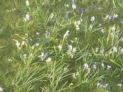 곽예준 : 동양화 전공 : 2학년