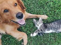 수싀 트윗백업 7월 - 하