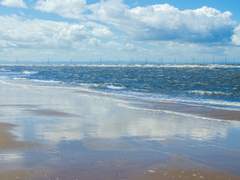 [하림선기] 홧김에