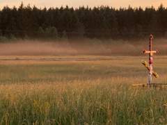 지혜를 원하는 허수아비.