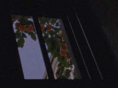 003. 나도 데려가줘