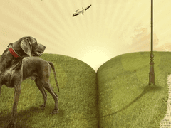 작은 노크 소리, 그리고 하얀 편지.