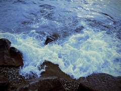 아츠무네 반에 외국인 왔대