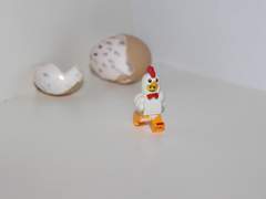 이부시마 ｜ 오늘의 전부