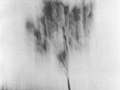 [히지오키] 자각