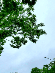 무력하고 그래서 무너진