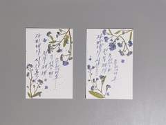 후추 님 커미션