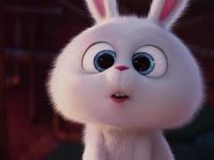 네오사립고 쌤들은 얼굴 보고 뽑아요?