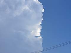 름님의뺨을치자