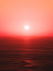 절망속에서 썩어 문드러진 장미꽃은 우리의 후회가 남긴 증표였다