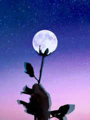 괴도호두 외전 - 달