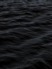 감초로 쓴 깨작글