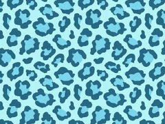 소프트 베이비 05