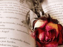 정갈한 글씨체의 서면.