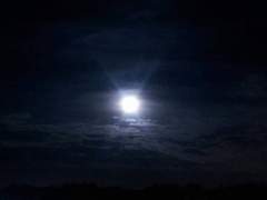 밤, 한 잔의 아리아