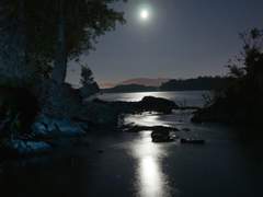 [정수록수] 도깨비 이야기