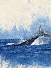 고래가 있는 바다