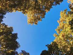 전쟁터에서 익사할 확률은 칼 맞아 죽을 확률보다 높다