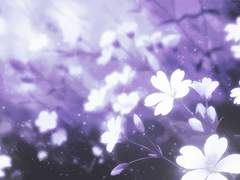 星合 一珂 :: 3 :: 키보드 :: Let’s Black Devil! :: 하나사키가와