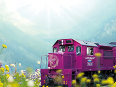 이 행복한 시간이,