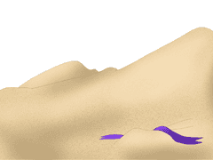 인형의 일생은....