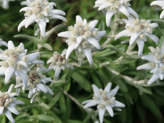 너희를 만나 즐거웠어