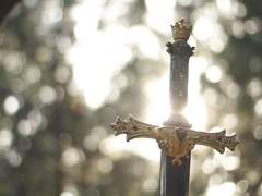 To. 노아 엔리케