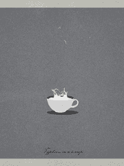 찻잔 속의 태풍