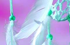 당신과 날 연구하고 있어요!