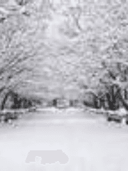 창 밖 만을 바라 보던 너는. [중단편]