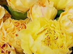 나는 무엇을 보고 있는가