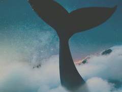 그믐밤 비유와 상징 1: 고래